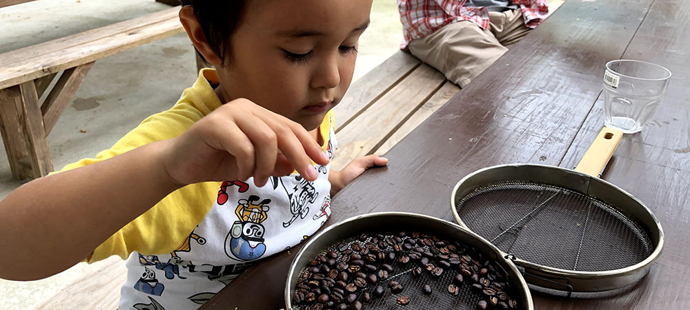 コーヒー豆収穫・焙煎体験